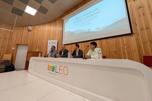 <i>Apertura de las jornadas. / Junta de Andalucía.</i>