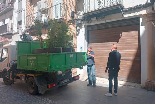 <i>Imagen de la colocación de un macetero. / Ayuntamiento de Jaén.</i>