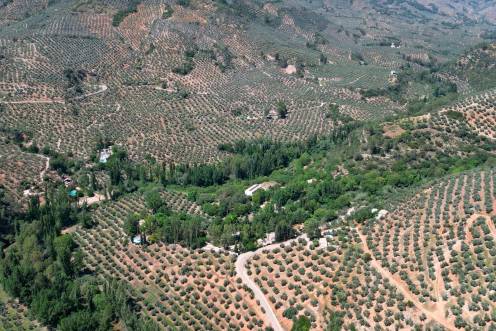 <i>Iznatoraf y su Cañada de la Madera. </i>