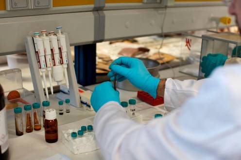 <i>Un investigador en el laboratorio del Instituto de Investigación en Arqueología Ibérica. / Universidad de Jaén. </i>