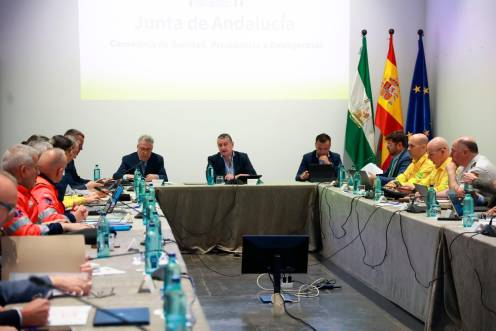 <i>Comité Asesor Regional del Plan Infoca. / Junta de Andalucía.</i>