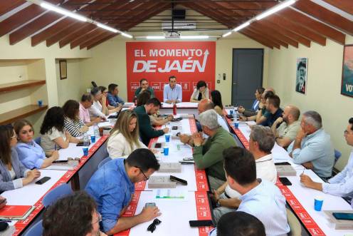 <i>Imagen de la Ejecutiva Provincial del 20 de mayo. / PSOE de Jaén.</i>