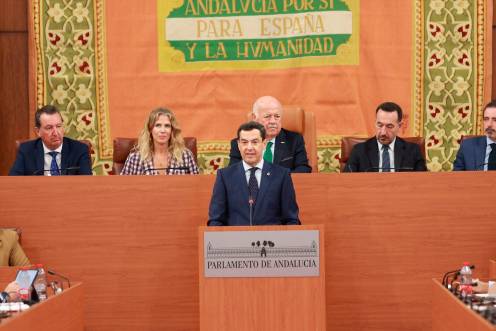 <i>El presidente en funciones de la Junta y candidato del PP a la reelección, Juanma Moreno, interviene en el debate de investidura. / Europa Press.</i>