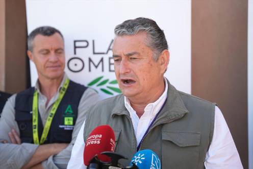 <i>Sanz, en la atención a medios en El Rocío. / Joaquín Corchero / Europa Press.</i>