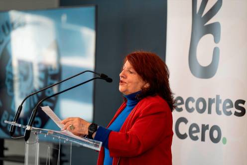 <i>La escritora Fanny Rubio interviene durante el acto de presentación de la candidatura de Recortes Cero a las elecciones europeas, en el Círculo de Bellas Artes. / Europa Press. </i>