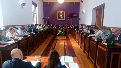 Vista general del salón de plenos del Ayuntamiento de Jaén durante la sesión extraordinaria y urgente de esta mañana. / F. Gaitán / Diario JAÉN