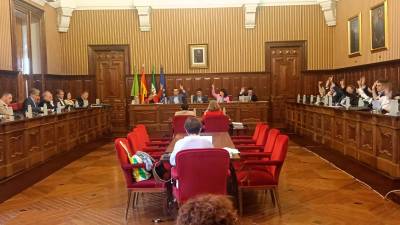 El salón de plenos de la Diputación Provincial, durante la sesión ordinaria de marzo. / F. Gaitán / Diario JAÉN.