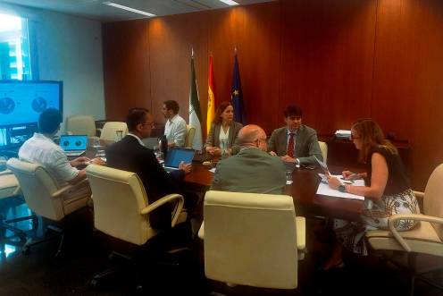<i>Reunión sobre el programa de incentivos para fomentar el desarrollo de ciudades y territorios inteligentes de Andalucía (orden CITI). / Junta de Andalucía. </i>
