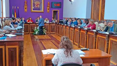 Celebración del pleno de hoy. / Ayuntamiento de Jaén.