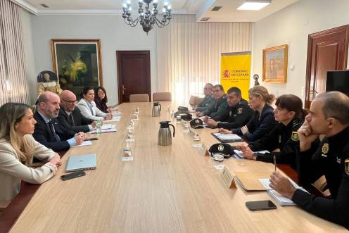 <i>Manuel Fernández preside la reunión para la coordinación de los dispositivos de seguridad y control laboral durante la campaña de recogida de la aceituna. / Subdelegación de Jaén.</i>