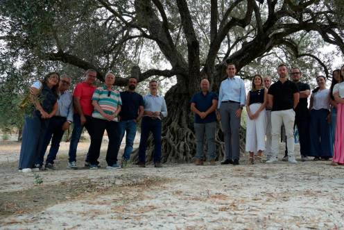 <i>Visita al sendero del olivo milenario Acebuche de las Hoyas. / Diputación de Jaén. </i>