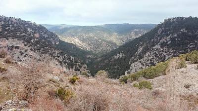 Parque Natural de Cazorla, Segura y La Villas. / Europa Press