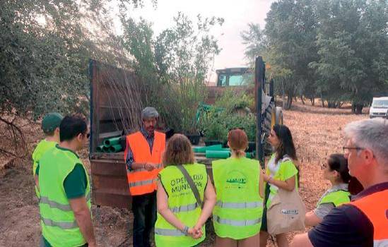 Reforestación del Guadalquivir