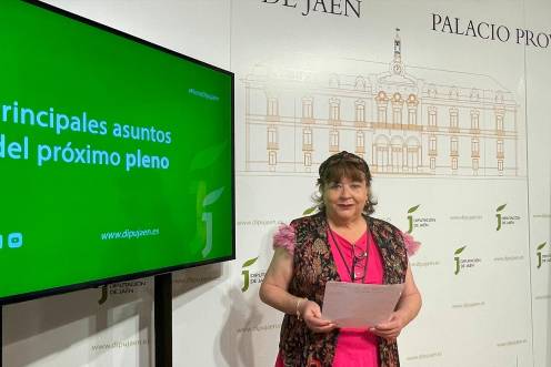 <i>Pilar Parra durante una comparecencia para informar de los asuntos del pleno. Archivo. / Diputación de Jaén.</i>
