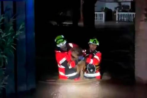 <i>Los bomberos rescatan a un animal de una casa completamente anegada.</i>