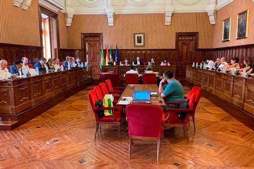 <i>Imagen del último pleno ordinario antes de las vacaciones de verano. / Diputación de Jaén. </i>