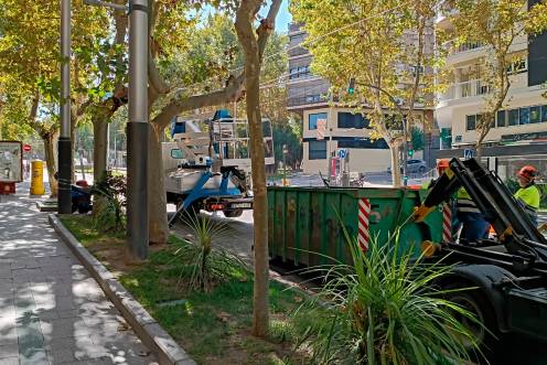 <i>Trabajos en la poda de los árboles del paseo de la estación. / Ayuntamiento de Jaén. </i>