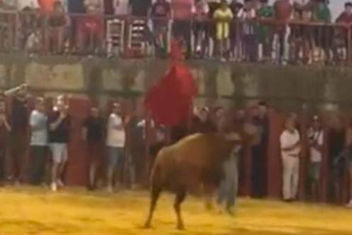 <i>Momento exacto de la cornada. / Mundotoro.</i>