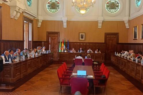 <i>Un instante de la sesión plenaria de Diputación esta mañana. / F. Gaitán / Diario JAÉN.</i>
