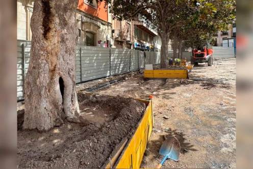 <i>Protección arbolado plaza la Constitución. / Ayuntamiento de Jaén.</i>