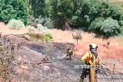 <i>Tareas de refresco en la zona afectada por un incendio forestal en Soportújar. Imagen de archivo. / Plan Infoca.</i>