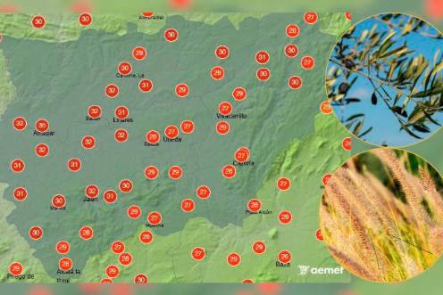 <i>Mapa de las temperaturas en la provincia de Jaén previstas para las dos de la tarde junto con los dos alérgenos más elevados: el olivo y la gramínea.</i>