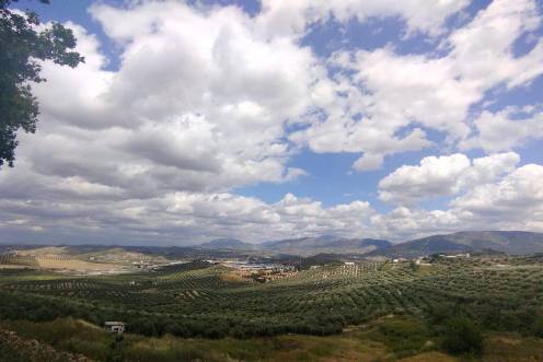 <i>Imagen del cielo nublado. </i>