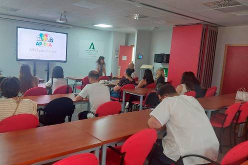 <i>Encuentro sobre el Proyecto AP-TEA para usuarios con trastorno autista. / Junta de Andalucía. </i>