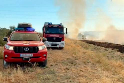 <i>Dispositivo del Speis trabajando en la extinción del incendio de Jaén. / Ayuntamiento de Jaén. </i>