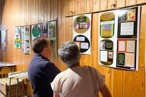 <i>Exposición “Traspasando Fronteras”, de Olayo Alguacil. / Pablo Espinosa / Diario JAÉN. </i>