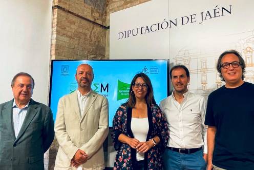 <i>Presentación de la iniciativa matemática. / Diputación de Jaén.</i>