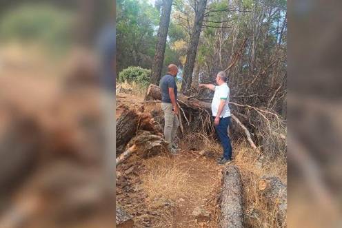<i>Imagen de los concejales José María Cano y Javier Padorno en la zona afectada. / Ayuntamiento de Jaén.</i>