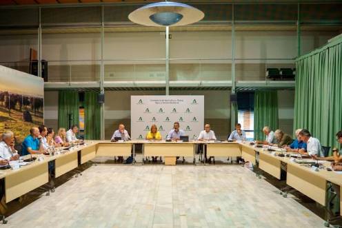 <i>Mesa de interlocución agraria presidida por el consejero de Agricultura, Ramón Fernández-Pacheco. / Europa Press. </i>