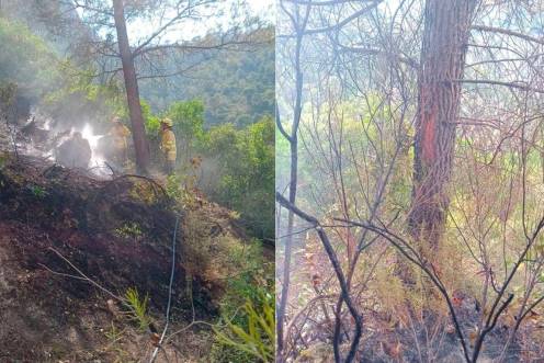 <i>A la izquierda, los agentes extinguen el fuego y, a la derecha, el tronco del árbol donde ha caído el rayo. / Plan Infoca.</i>