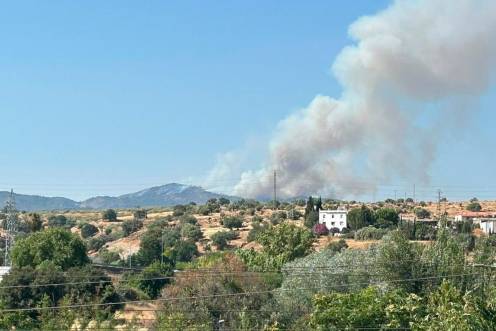 <i>Incendio forestal en un paraje de Cerro Muriano, en Córdoba, junto a la carretera N-432, que ha obligado a desalojos preventivos y se ha activado la situación operativa 1. / Europa Press. </i>