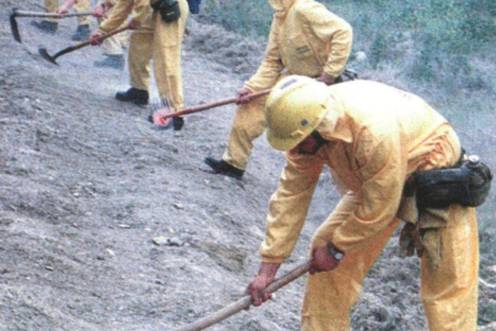 <i>El retén de Huelma realiza tareas de limpieza en un paraje cercano al Cedefo de Sierra Mágina. / Archivo Histórico de Diario JAÉN.</i>