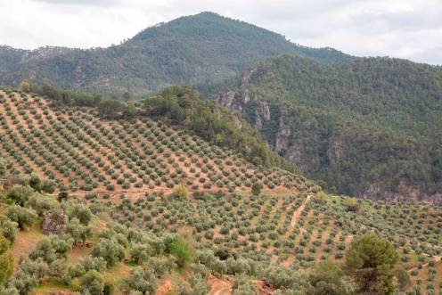 <i>Sierra de Segura. Archivo.</i>