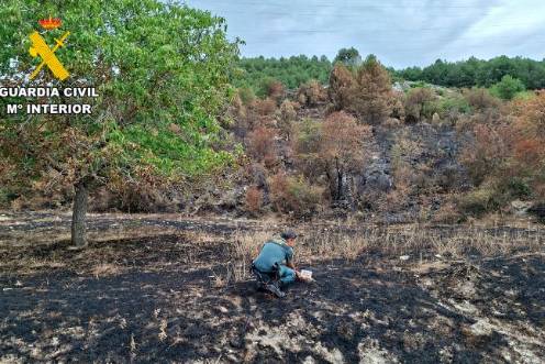 <i>Un agente de la Guardia Civil investigando las causas de los incendios en el Parque Natural. / Guardia Civil. </i>