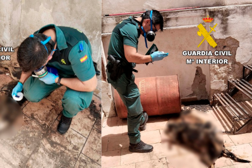 <i>Agentes del Seprona de la Guardia Civil examinan a los perros intervenidos en Campillo de Arenas tras destaparse un caso de maltrato animal en el que murieron tres ejemplares. / Guardia Civil. </i>