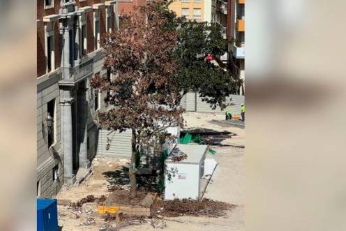 <i>Imagen actual del “magnolio”. / Partido Popular de Jaén.</i>