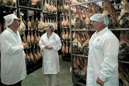 <i>Visita a las instalaciones de Tito Bolivar. / Diputación de Jaén. </i>