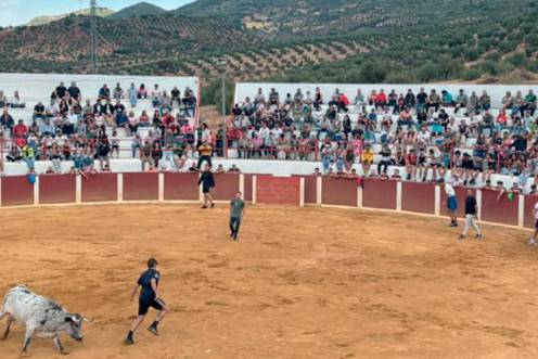 <i>Llegada de los animales y de vecinos del pueblo a la plaza de toros. / Isabel Aranda / Diario JAÉN. </i>