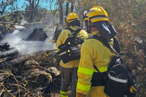 <i>Bomberos forestales trabajan en el remate y liquidación del incendio en la Sierra de Andújar que arrasó cerca de 800 hectáreas. / Europa Press. </i>