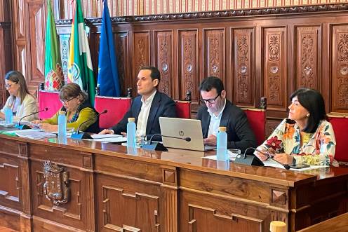 <i>Durante el pleno ordinario de la Diputación de Jaén, celebrado hoy, 29 de septiembre. / Diputación de Jaén. </i>