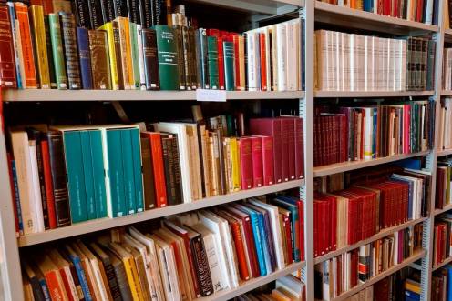 <i>Biblioteca del médico Fermín Palma. / Europa Press. </i>