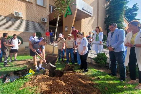 <i>Plantación de árboles en el Hospital San Agustín por el Día Mundial del Medio Ambiente. / Junta de Andalucía.</i>