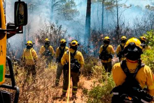 <i>Bomberos del Plan Infoca combatiendo las llamas de un incendio. / Plan Infoca. </i>