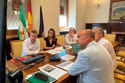 <i>Julio Millán, África Colomo, José María Cano, representantes de la Junta y del Ministerio de Transportes en una reunión telemática. / Ayuntamiento de Jaén. </i>