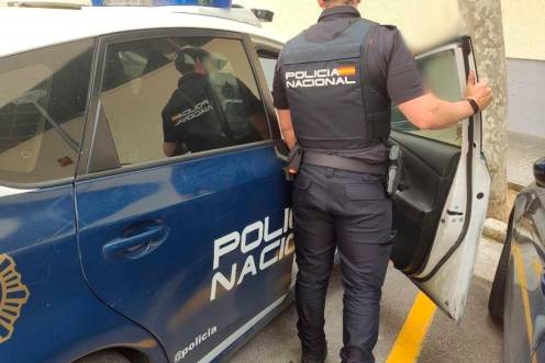 <i>Un agente de la Policía Nacional, de espaldas. Archivo. / Policía Nacional.</i>