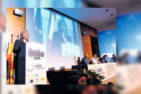 <i>Imagen del desarrollo de Jaén Diversifica en el Centro de Convenciones del Recinto Provincial de Ferias y Congresos. / Archivo. / Diario JAÉN.</i>